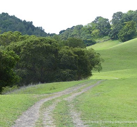 3 Ways to Use Family Hikes as Outdoor Classrooms